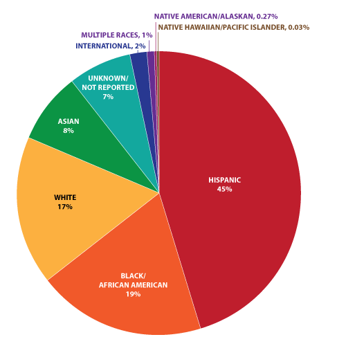 Pie chart showing Dallas College demographics