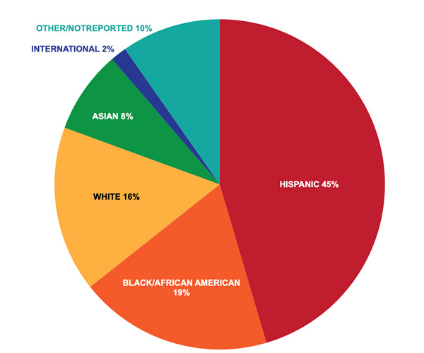 Pie chart showing Dallas College demographics