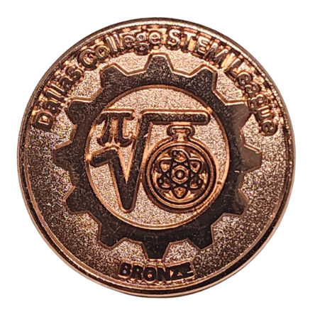 bronze lapel pin