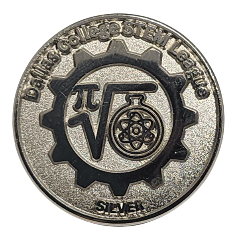 silver lapel pin